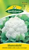 Quedlinburger Saatgut - Blumenkohl Erfurt - Samen - 421202 Produktbild-Vorschau 5