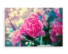 Fabelhafte Canvas LEINWAND BILDER 120x80 cm XXL Kunstdruck Produktbild-Vorschau 3
