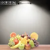 4 Stück 5W LED Einbaustrahler Deckenleuchte Einbauleuchte Produktbild-Vorschau 6