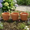 Wasserspeicher mit Insektentränke für Garten Balkon Produktbild-Vorschau 2