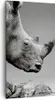 Bild auf Leinwand - Leinwandbild - Einteilig - Nashorn Produktbild-Vorschau 1