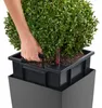 Fioriera LECHUZA CUBICO Premium 22 Scarlet Red high gloss | Anteprima dell’immagine prodotto 17