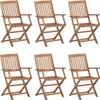 vidaXL Klappbare Gartenstühle 6 Stk. mit Kissen Massivholz Produktbild-Vorschau 1