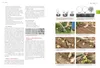 Das große Biogarten-Buch Produktbild-Vorschau 6