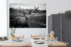 MuchoWow® Poster Tiere - Hirsch - Geweih - Schwarz und weiß Produktbild-Vorschau 3
