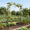 Outsunny Rankgitter aus Metall zum Stecken rostfrei Produktbild-Vorschau 8
