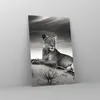 Bilder auf glas - Einteilig - Tierwelt weiblich katze Tier Produktbild-Vorschau 4