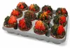 Gymnocalicium mihanovicii "Koi" - besonderer Erdbeerkaktus Produktbild-Vorschau 2