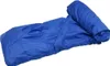 vidaXL Plandeka na łódź niebieska 605x209x40 cm Podgląd zdjęcia produktu 1