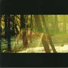 Childish Gambino - Camp (180g) (2 LP) Podgląd zdjęcia produktu 1