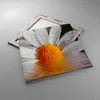 Bild auf Leinwand - Leinwandbild - Kraut Kamille Blume Produktbild-Vorschau 2