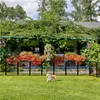 A dog is playing in a grassy yard in front of a house covered in vines and flowers, with a black fence in the foreground. Podgląd zdjęcia produktu