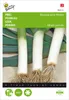 Porree Blaugrüner Winter | Lauchsamen von Buzzy Seeds Produktbild-Vorschau 1