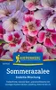 Kiepenkerl Sommerazaleesamen Godetia 100 Pflanzen Produktbild-Vorschau 1