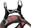 HUNTER Geschirr Hilo Comfort M, altrosa Produktbild-Vorschau 8