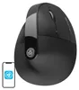 JLab JBUDS ERGONOMIC, Po prawej stronie, Projekt pionowy, Podgląd zdjęcia produktu 9