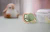 A baby pacifier is shown in the foreground, with a stuffed penguin toy and a pacifier case in the background. Anteprima dell’immagine prodotto