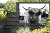 MuchoWow® Produktbild-Vorschau 5