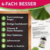 Tablety Ginkgo Biloba 6000 mg, 365 ks – najlepší pomer ceny Náhľad obrázku produktu 3
