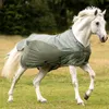 BUSSE Fliegendecke Rainfly Regendecke Light Olive 155 Produktbild-Vorschau 4