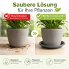 Pflanztopfuntersetzer Mira Anthrazit Ø 34cm - Frostsicher & Produktbild-Vorschau 5