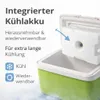 Nevera portátil premium de 15 litros con acumulador de frío Vista previa de la imagen del producto 3