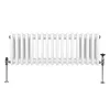 Radiatore tradizionale a 3 colonne - 300 x 832 mm - Bianco Anteprima dell’immagine prodotto 2
