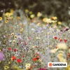 Gardena Start-Set Pflanzflaechen Náhľad obrázku produktu 12