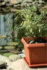 A potted plant sits on rocks next to a pond with lily pads. Produktbild-Vorschau