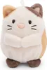 NICI 61141 Set peluche gatto Angy 8 cm con cactus Anteprima dell’immagine prodotto 6