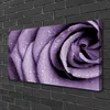 Tulup Leinwand-Bilder 100x50 Wandbild Canvas Kunstdruck Produktbild-Vorschau 1