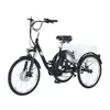 GF100 Vrijetijdselektro-driewieler, 24 inch, 36V 22,5Ah, Productafbeelding-voorbeeld 1