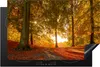 KitchenYeah© Herdabdeckplatte Herbst - Licht - Wald , Produktbild-Vorschau 1