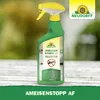 NEUDORFF 500ml AmeisenStopp AF Produktbild-Vorschau 9