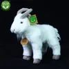 RAPPA Capra/capra di peluche 20 cm ECO-FRIENDLY Anteprima dell’immagine prodotto 7