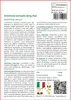 SAFLAX  - Artemisia annuale Qing Hao - 250 semi - Artemisia Anteprima dell’immagine prodotto 3