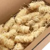vidaXL Firelighterlighter 10 kg Náhľad obrázku produktu 5