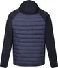 Regatta - "Andreson VIII" Hybridjacke für Herren RG9449 (L) Produktbild-Vorschau 2