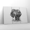 Bild auf Leinwand - Leinwandbild - Bär Tier - 105x70cm - Produktbild-Vorschau 4
