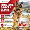 REAVET Teufelskralle Gelenk-Pulver 250g für Hunde & Katzen Produktbild-Vorschau 2