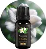 100 % natürliches Jasminöl, 10 ml, JASMINE SAMBAC INDIA Produktbild-Vorschau 16