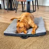 Ergonomická podložka pro domácí mazlíčky Petzzz Diva XL 120 Náhled obrázku produktu 15