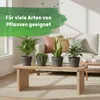 LENI Hydrokultur Komplett-Set mit Blumentopf Kulturtopf Produktbild-Vorschau 8