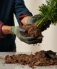 A person wearing gloves is holding a plant with soil. Produktbild-Vorschau