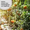 TTL GARDEN Vogelschutznetz 2x5m grün feinmaschig 20mm Produktbild-Vorschau 4