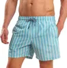 RIPT Essentials - Badeshorts für Herren PB297 (L) Produktbild-Vorschau 1