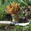 Opinel O001252 paddenstoelenmes, bruin, natuurlijke kleur Productafbeelding-voorbeeld 18