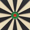 Kings Dart Steeldartscheibe "Professional HD" Produktbild-Vorschau 4