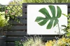 Gartenposter - 120x80 cm - Botanischer Druckbogen  - Produktbild-Vorschau 6