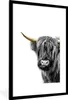 MuchoWow® MuchoWow® Gerahmtes Poster Scottish Hochlandrind Produktbild-Vorschau 1